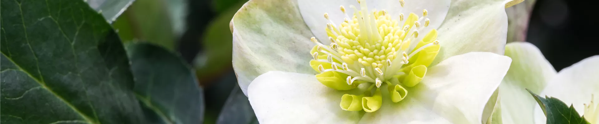 Mit unseren aktuellen Tipps auf dem Laufenden bleiben Mit unseren aktuellen Tipps auf dem Laufenden bleiben