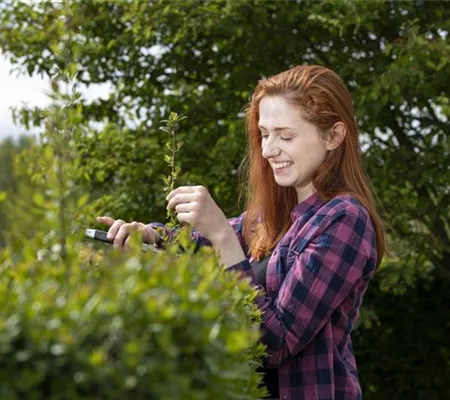 Diese Arbeiten sind jetzt im Garten noch nötig Diese Arbeiten sind jetzt im Garten noch nötig