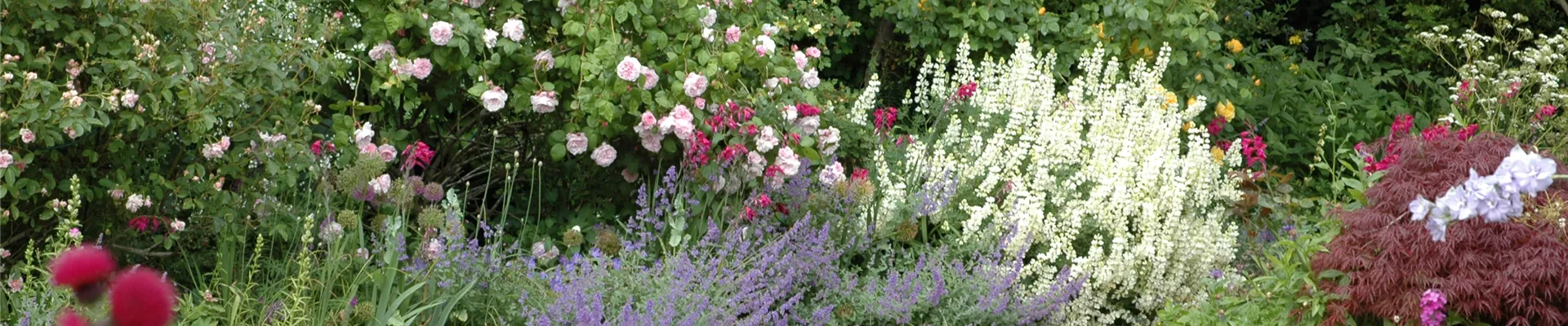 Mit unseren aktuellen Tipps auf dem Laufenden bleiben