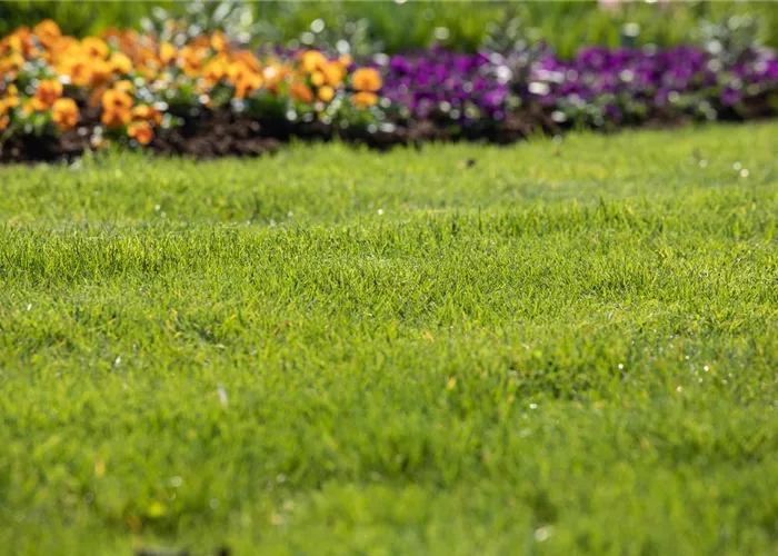 Für jeden Garten den richtigen Rasen